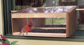 Mirrored_Windowsill_Bird_Feeder.jpg